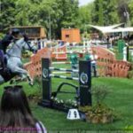 SALTO CAVALLO SIENA 19