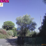 ON THE ROAD…
LUNGO LAGO
UNA DIVERSA DESTINAZIONE
AZZURRO VILLAGE CAMPING
BRACCIANO
LAZIO ROMA