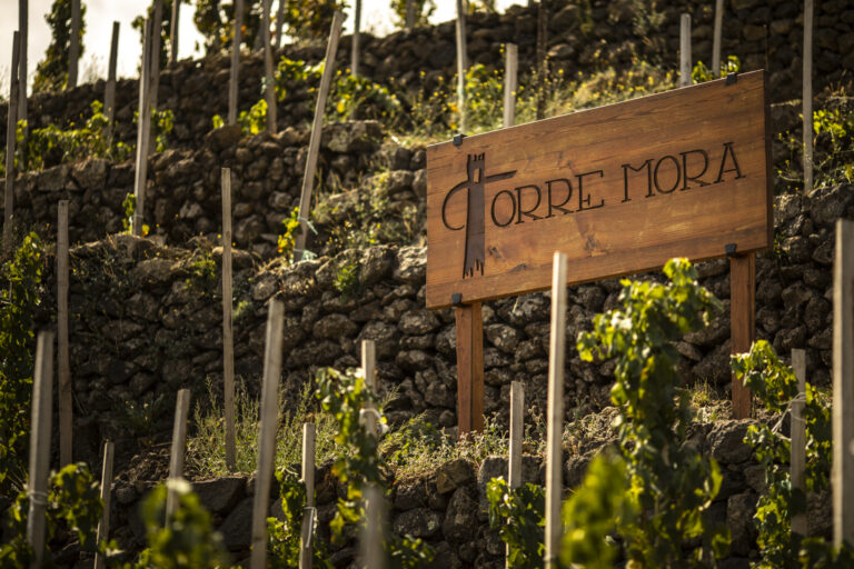 Torre-Mora-Alessandro-Moggi-Studio-40